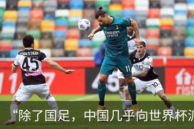 “除了国足，中国几乎向世界杯派去了一切”